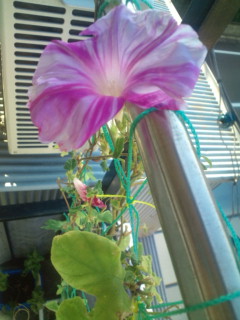 20110929071842.jpg