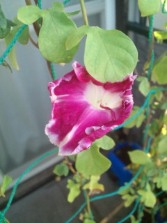 20111004064705.jpg