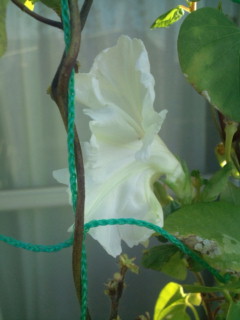 20111004064745.jpg