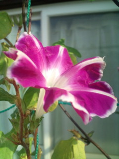 20111009090616.jpg