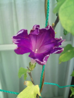 20111011074836.jpg