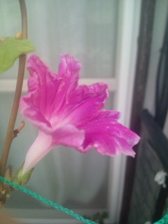 20111012070542.jpg