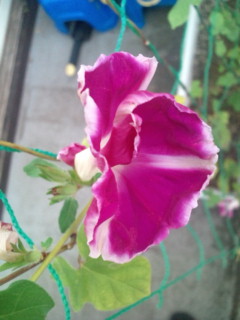 20111013075053.jpg