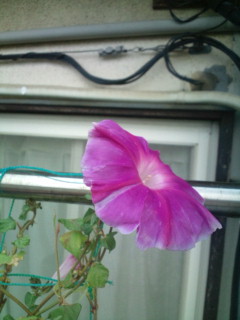 20111013075127.jpg