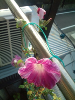 20111014075900.jpg