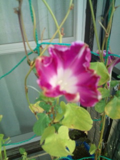 20111017070307.jpg