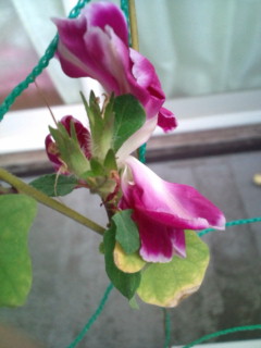 20111019071234.jpg