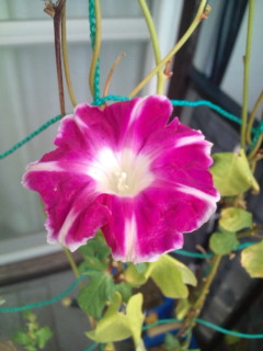 20111019071319.jpg