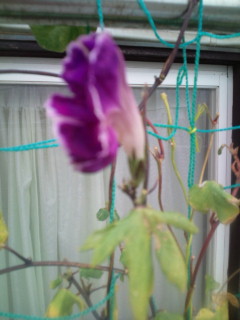 20111019071520.jpg