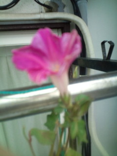 20111019071534.jpg