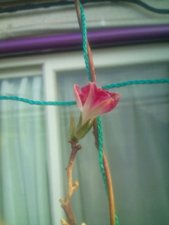 20111104071643.jpg