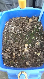 s-2012_0512_075615-120512_075614_2.jpg