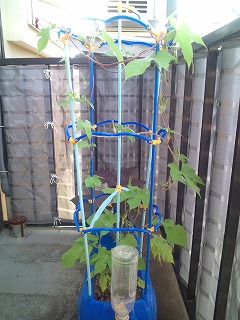 s2010-07-17_07.19.15.jpg